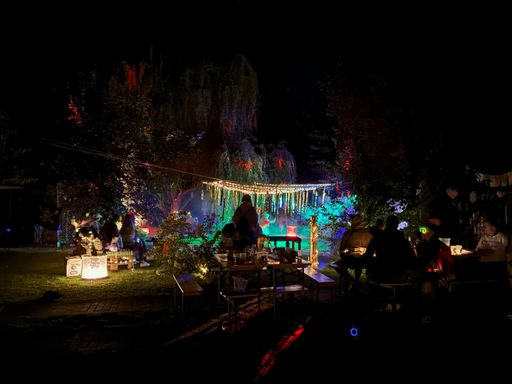 Electronic Garden